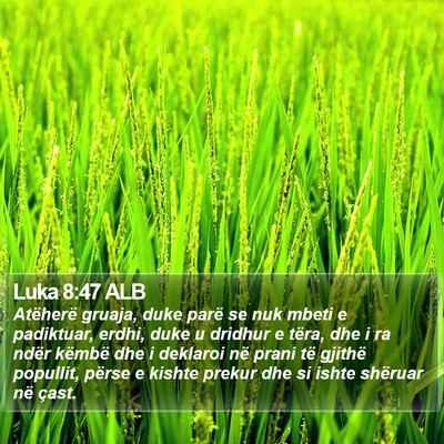 Luka 8:47 ALB Bible Verse Image