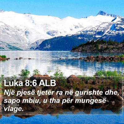 Luka 8:6 ALB Bible Verse Image