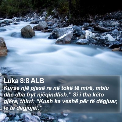Luka 8:8 ALB Bible Verse Image