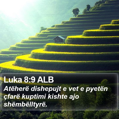 Luka 8:9 ALB Bible Verse Image