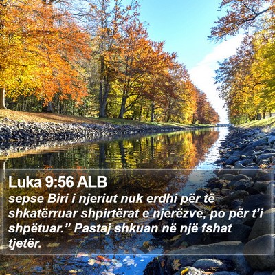 Luka 9:56 ALB Bible Verse Image