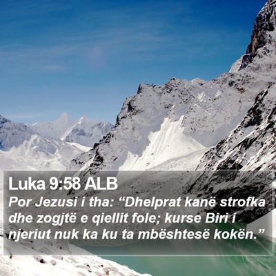 Luka 9:58 ALB Bible Verse Image