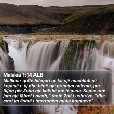 Malakia 1:14 ALB Bible Verse Image