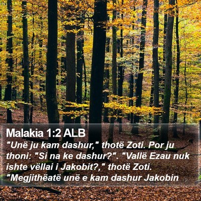 Malakia 1:2 ALB Bible Verse Image