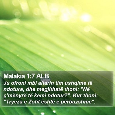 Malakia 1:7 ALB Bible Verse Image