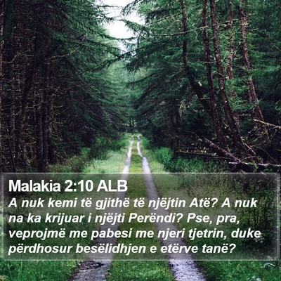 Malakia 2:10 ALB Bible Verse Image