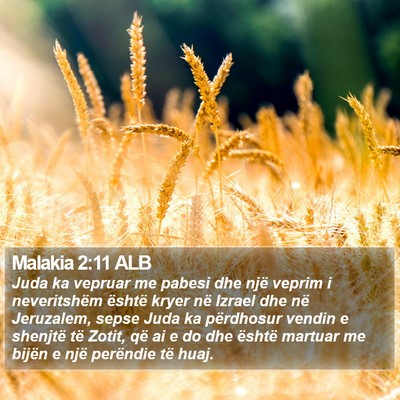 Malakia 2:11 ALB Bible Verse Image