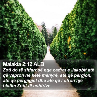 Malakia 2:12 ALB Bible Verse Image