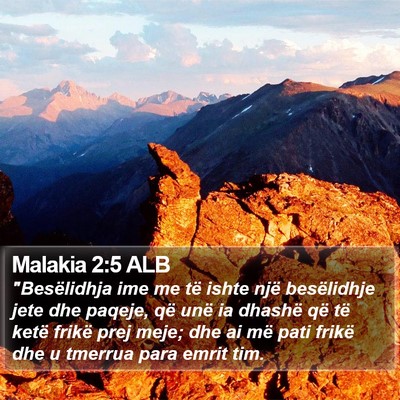 Malakia 2:5 ALB Bible Verse Image