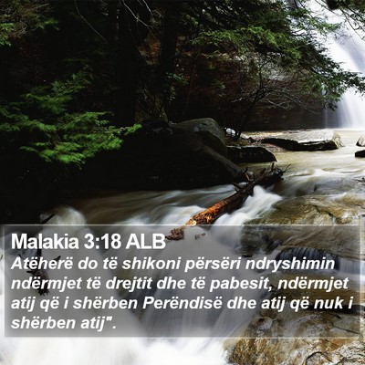 Malakia 3:18 ALB Bible Verse Image