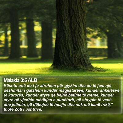 Malakia 3:5 ALB Bible Verse Image