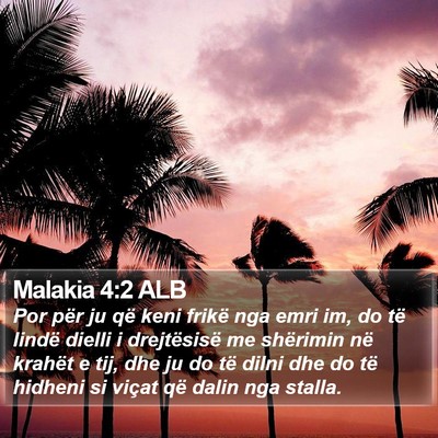 Malakia 4:2 ALB Bible Verse Image