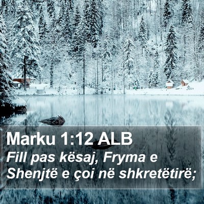 Marku 1:12 ALB Bible Verse Image