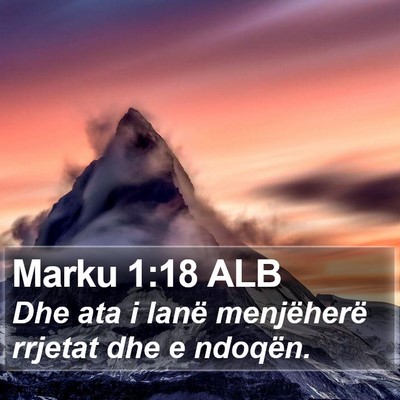 Marku 1:18 ALB Bible Verse Image