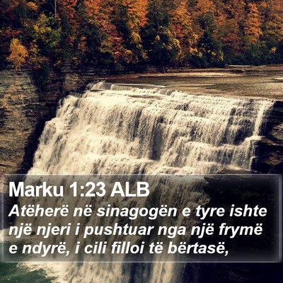 Marku 1:23 ALB Bible Verse Image