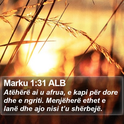 Marku 1:31 ALB Bible Verse Image