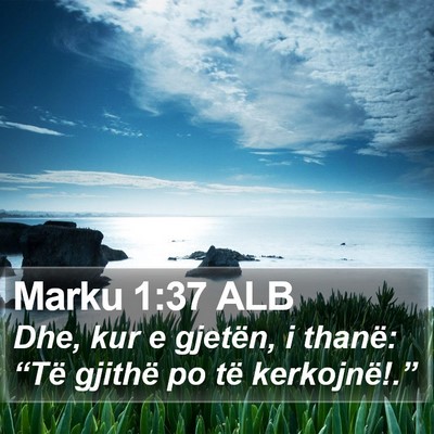 Marku 1:37 ALB Bible Verse Image