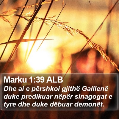 Marku 1:39 ALB Bible Verse Image