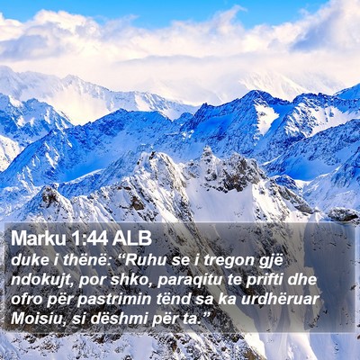 Marku 1:44 ALB Bible Verse Image