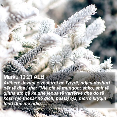Marku 10:21 ALB Bible Verse Image