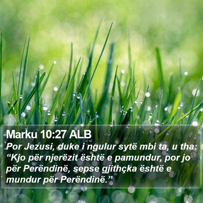 Marku 10:27 ALB Bible Verse Image