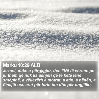 Marku 10:29 ALB Bible Verse Image