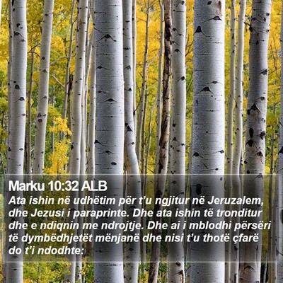 Marku 10:32 ALB Bible Verse Image