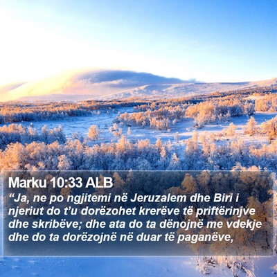Marku 10:33 ALB Bible Verse Image