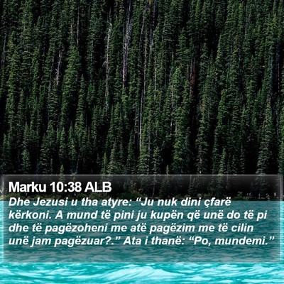 Marku 10:38 ALB Bible Verse Image