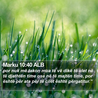 Marku 10:40 ALB Bible Verse Image
