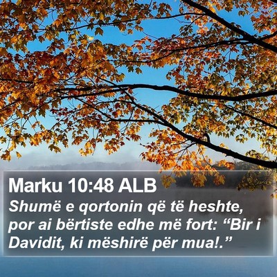 Marku 10:48 ALB Bible Verse Image