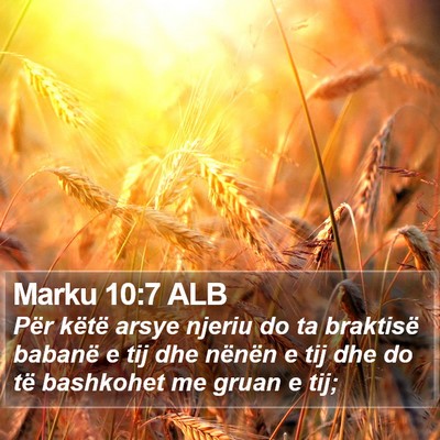Marku 10:7 ALB Bible Verse Image