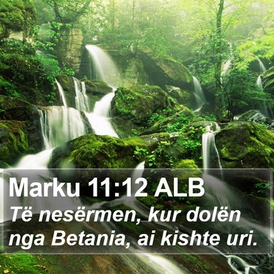 Marku 11:12 ALB Bible Verse Image