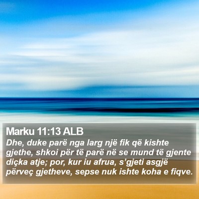 Marku 11:13 ALB Bible Verse Image