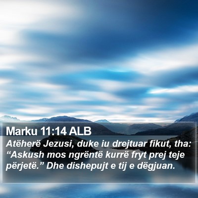 Marku 11:14 ALB Bible Verse Image