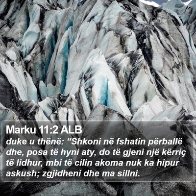Marku 11:2 ALB Bible Verse Image