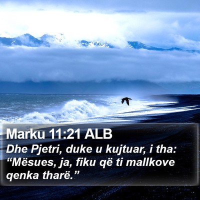 Marku 11:21 ALB Bible Verse Image