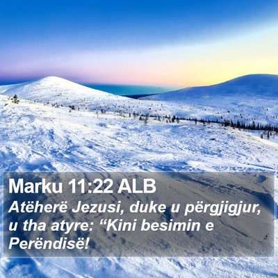 Marku 11:22 ALB Bible Verse Image