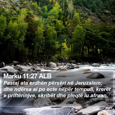 Marku 11:27 ALB Bible Verse Image