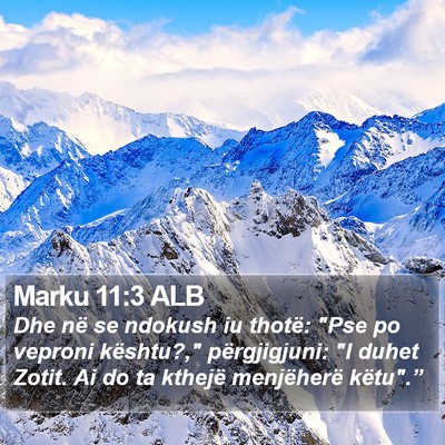 Marku 11:3 ALB Bible Verse Image