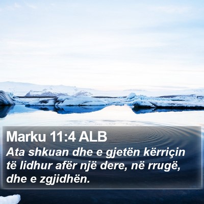 Marku 11:4 ALB Bible Verse Image