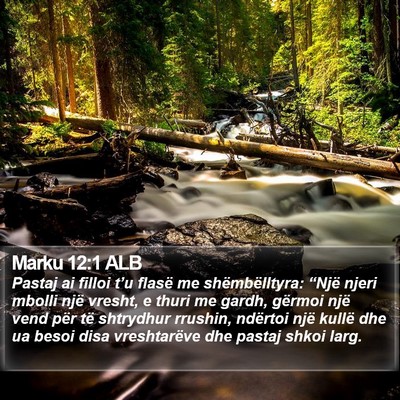 Marku 12:1 ALB Bible Verse Image