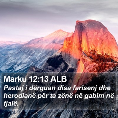 Marku 12:13 ALB Bible Verse Image