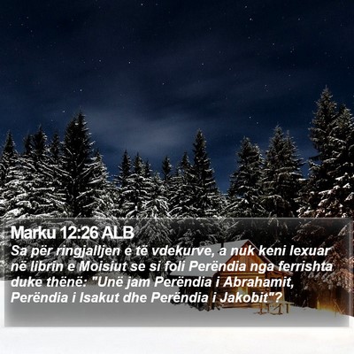 Marku 12:26 ALB Bible Verse Image