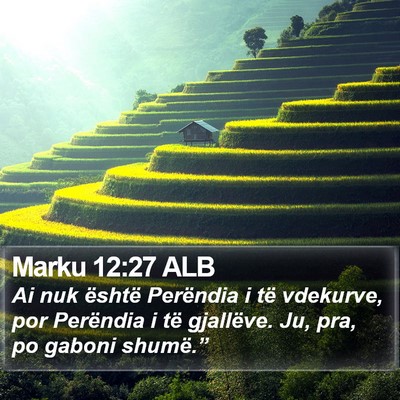 Marku 12:27 ALB Bible Verse Image
