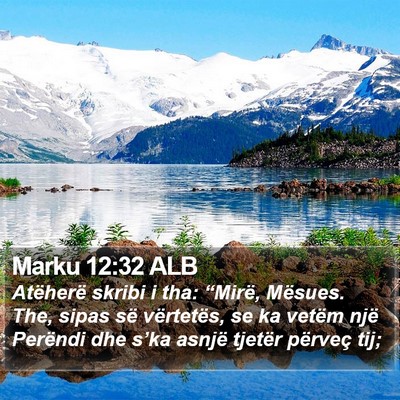 Marku 12:32 ALB Bible Verse Image