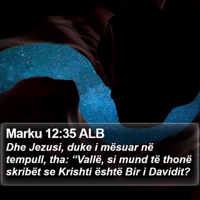 Marku 12:35 ALB Bible Verse Image