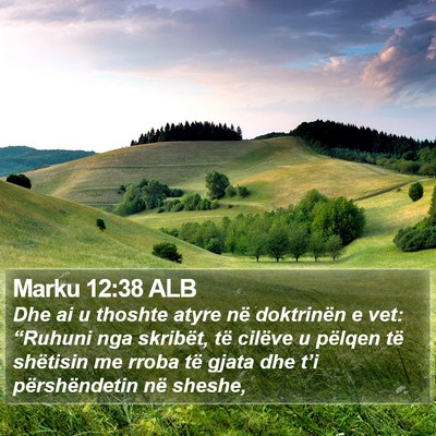 Marku 12:38 ALB Bible Verse Image