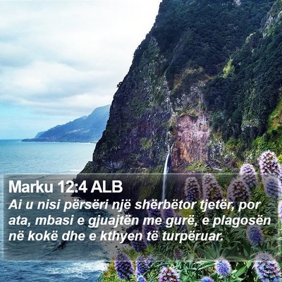 Marku 12:4 ALB Bible Verse Image