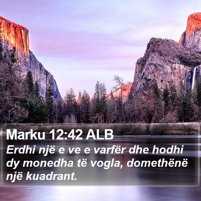 Marku 12:42 ALB Bible Verse Image